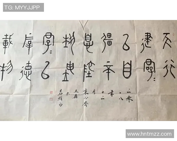 乒乓球传奇王磊的辉煌生涯与心路历程深度对话