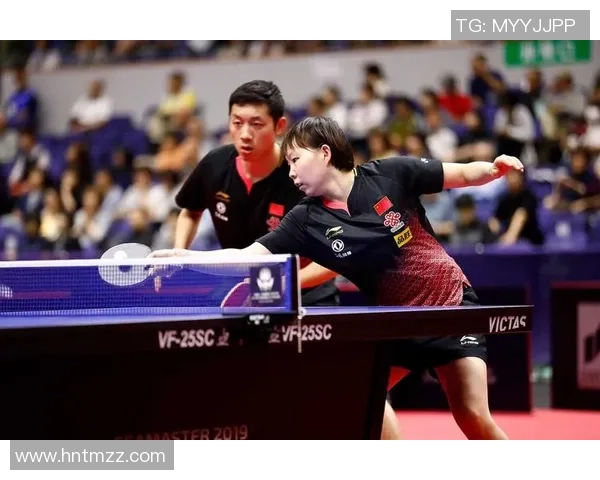 成都排球队与杭州排球队速度对决的赛后分析与战术总结